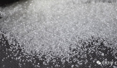 凯赛生物35亿元重金扩产，生物基新材料技术研发与产能提升并进