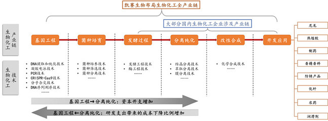 资本竞逐下的合成生物赛道 中国生物基材料技术研发企业竞争力分析