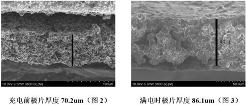 技术前沿│全球硅基负极材料专利数量已逾万件 探寻生物硅负极材料的秘密